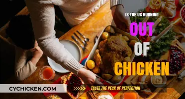 Is the US Facing a Looming Chicken Shortage Crisis?