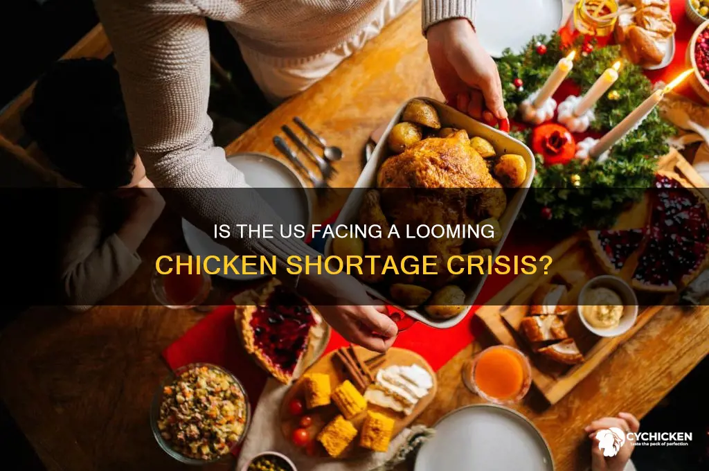 is the us running out of chicken
