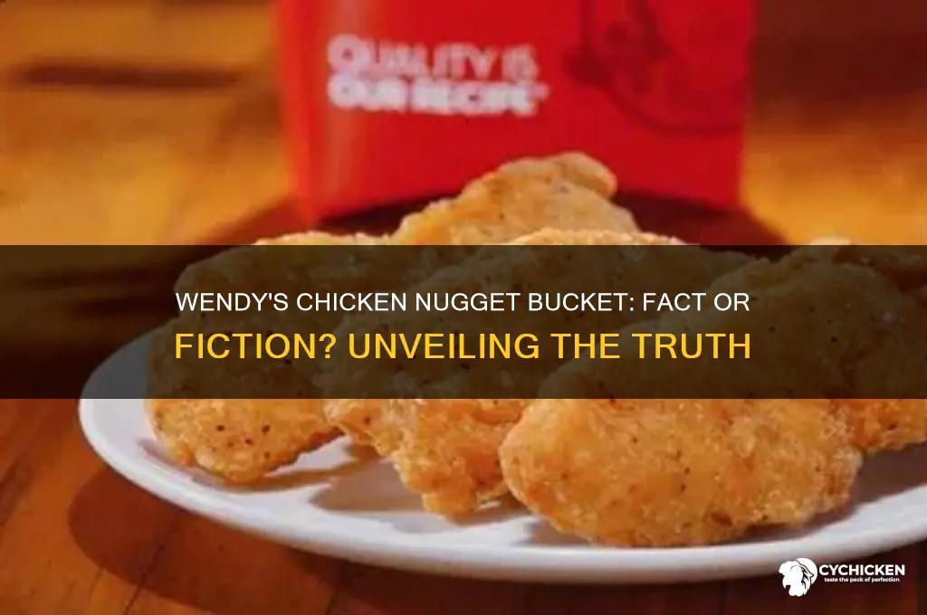 is the wendy