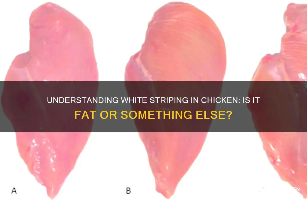 is the white striping in chicken fat