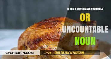 Is Chicken a Countable or Uncountable Noun? Exploring the Grammar