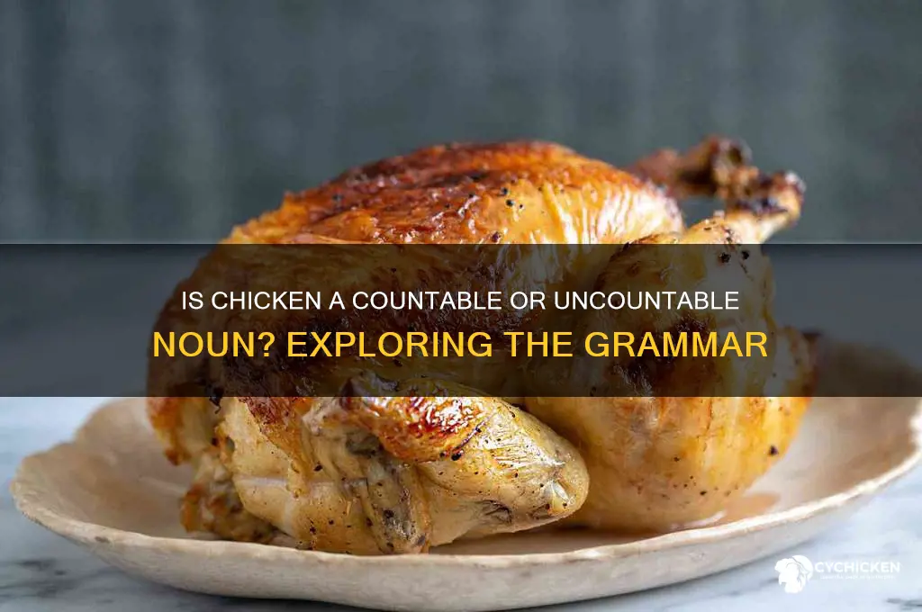 is the word chicken countable or uncountable noun