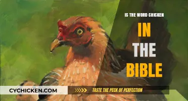 Is 'Chicken' Mentioned in the Bible? Exploring Scripture for Answers