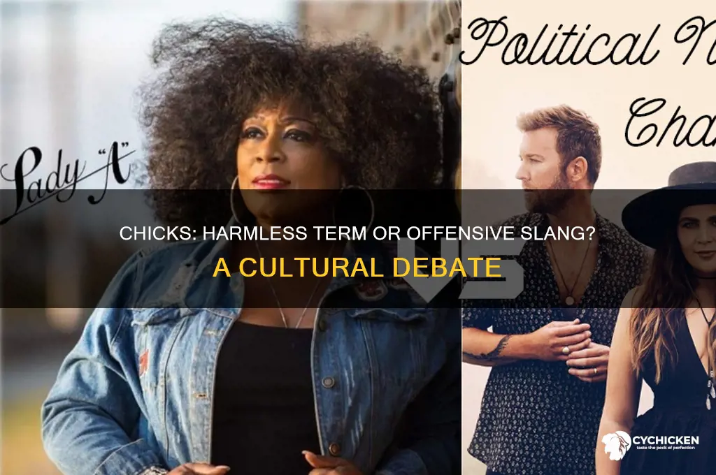 is the word chicks offensive to normal people