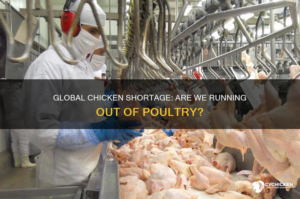 is the world running out of chicken