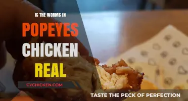 Are the Worms in Popeyes Chicken Real? Uncovering the Truth
