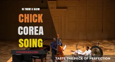 Exploring the Myth: Is There a Slow Chick Corea Song?