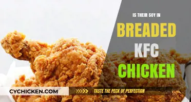 Does KFC's Breaded Chicken Contain Soy? Ingredients Revealed