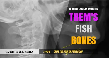 Chicken or Fish Bones: What's the Difference?