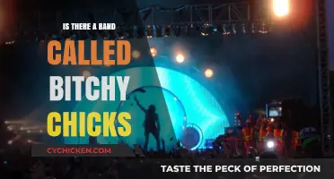 Bitchy Chicks Band: Fact or Fiction? Uncovering the Truth