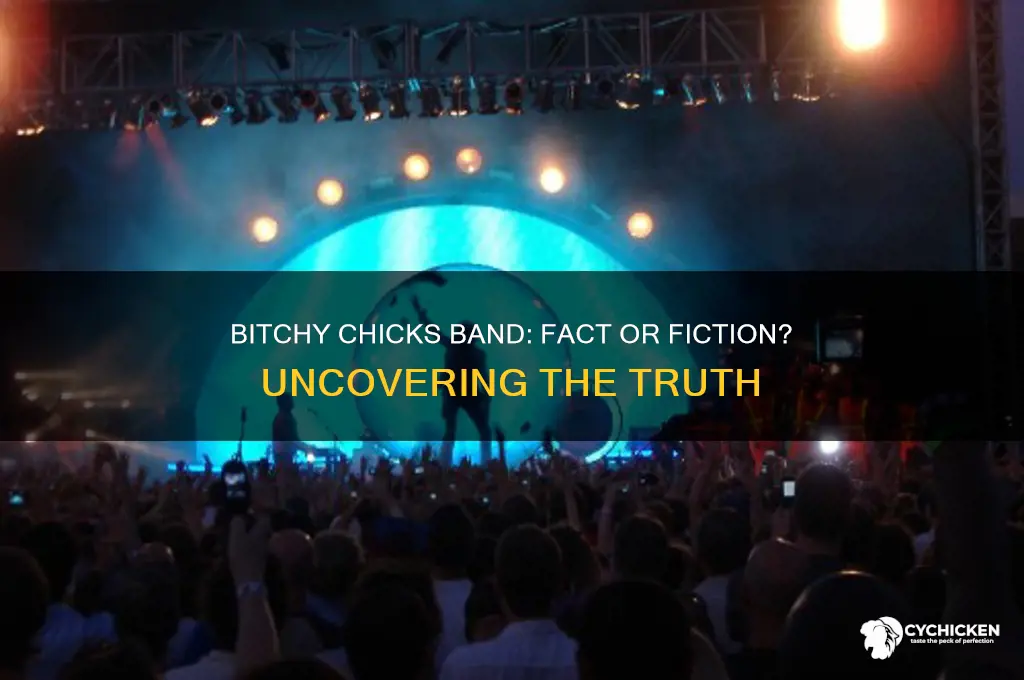 is there a band called bitchy chicks