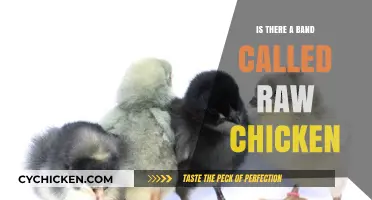 Raw Chicken: Uncovering the Truth About This Mysterious Band Name