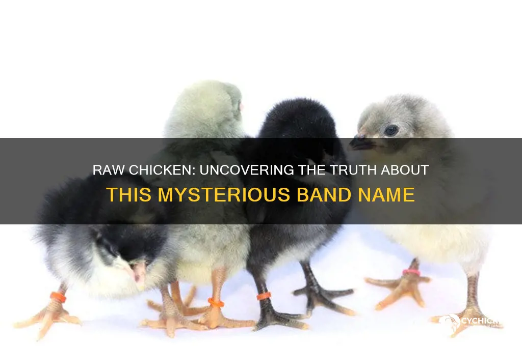 is there a band called raw chicken
