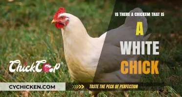 White Chickens: Are They All White?