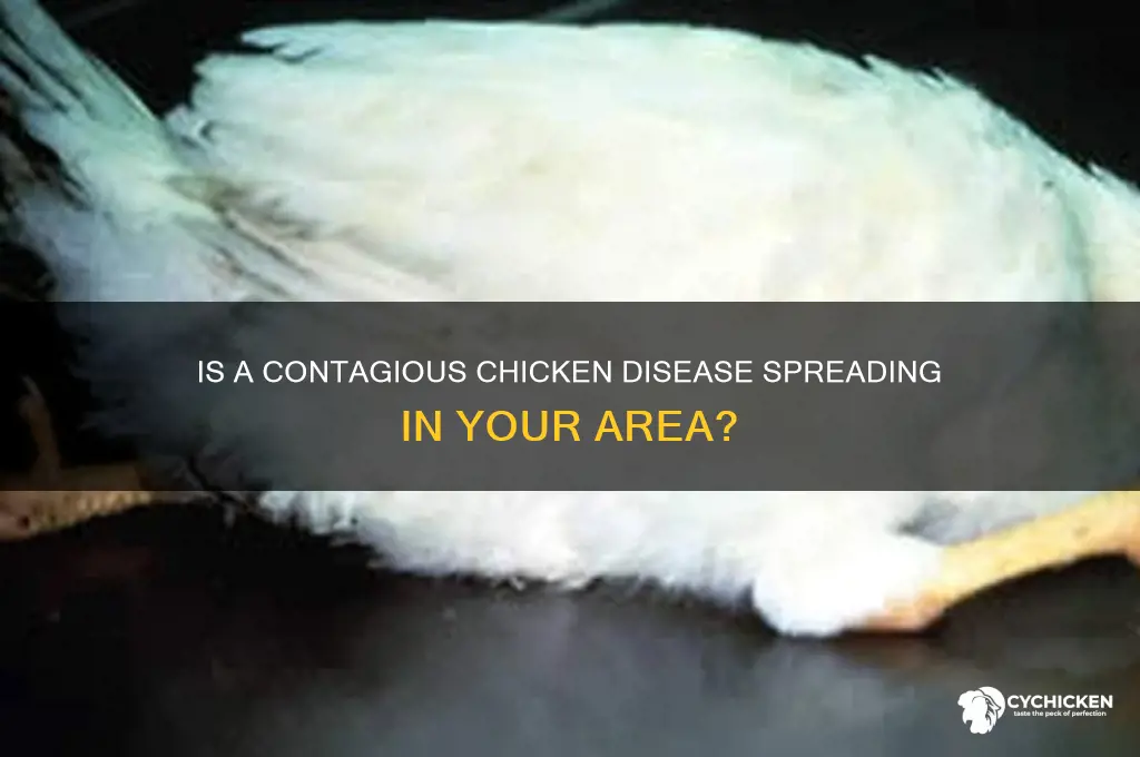 is there a chicken disease going around