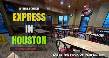 Exploring Houston: Does Chicken Express Have a Location Nearby?