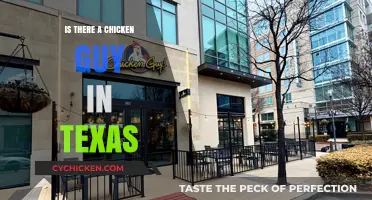 Is There a Chicken Guy in Texas? Uncovering the Truth