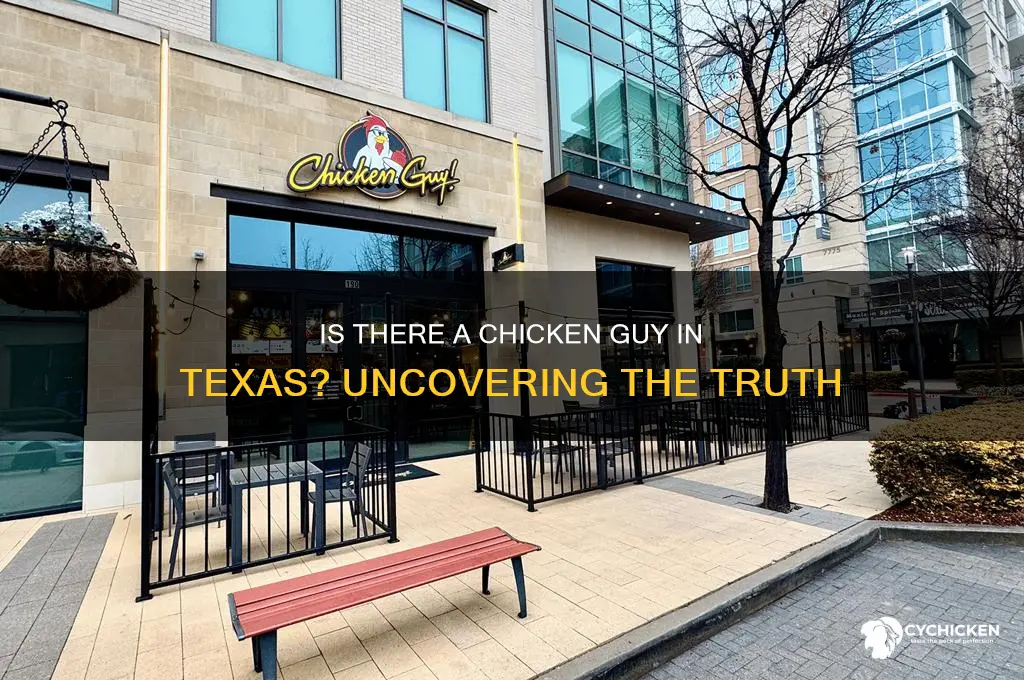 is there a chicken guy in texas