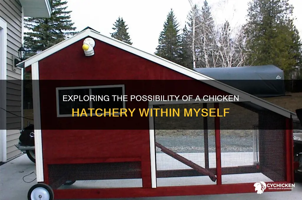 is there a chicken hatchery in me