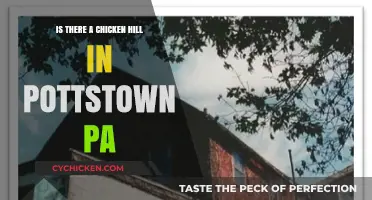 Exploring Pottstown, PA: The Mystery of Chicken Hill Revealed