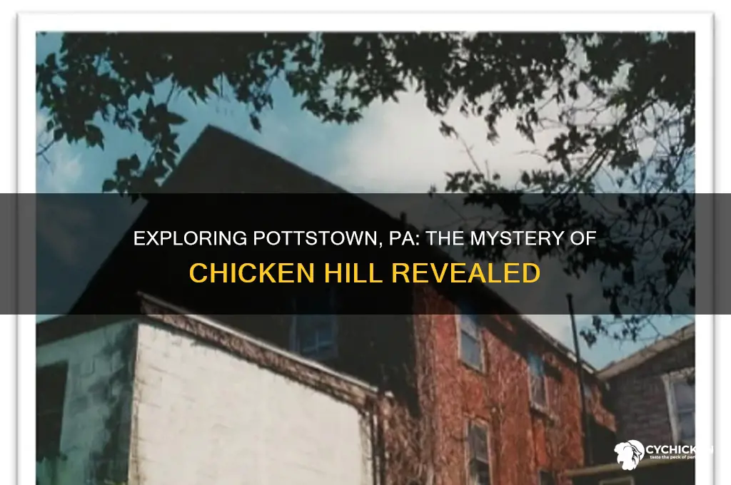 is there a chicken hill in pottstown pa