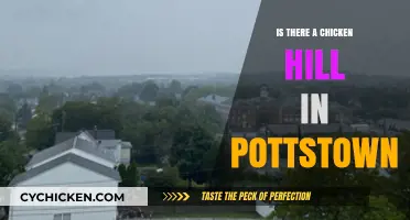 Exploring Pottstown: Uncovering the Mystery of Chicken Hill's Existence
