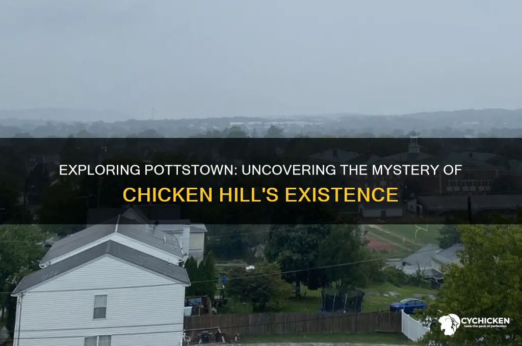 is there a chicken hill in pottstown