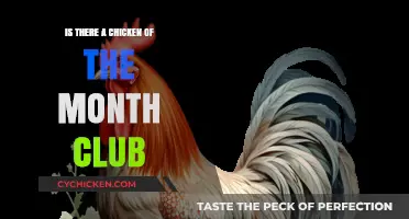 Discover the Cluck: Is There a Chicken of the Month Club?