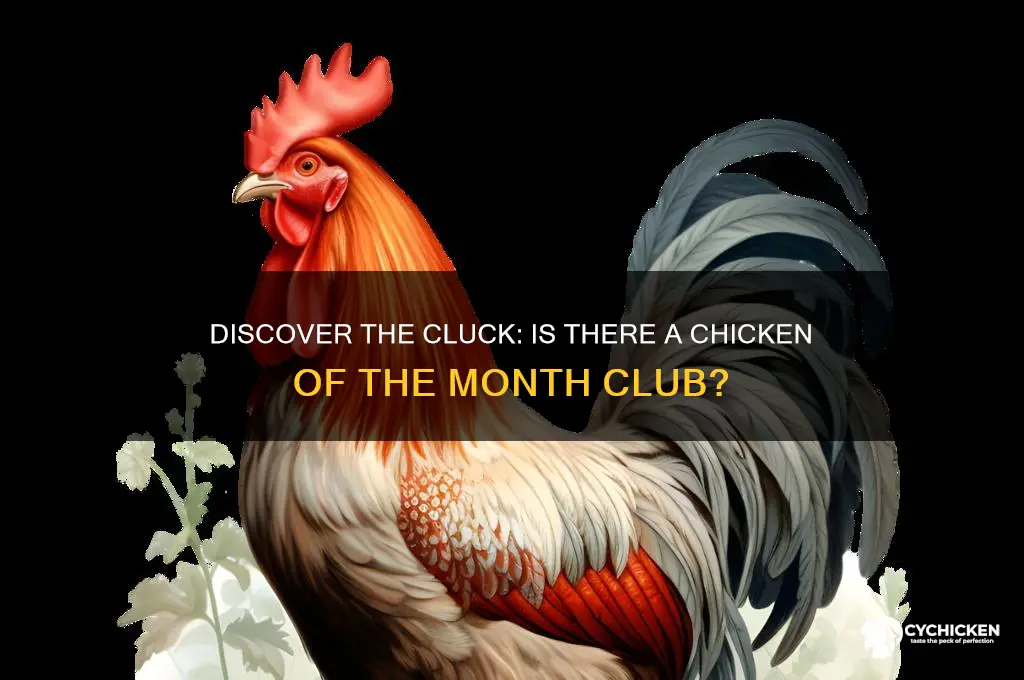 is there a chicken of the month club