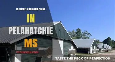 Exploring Pelahatchie, MS: Is There a Chicken Processing Plant Nearby?