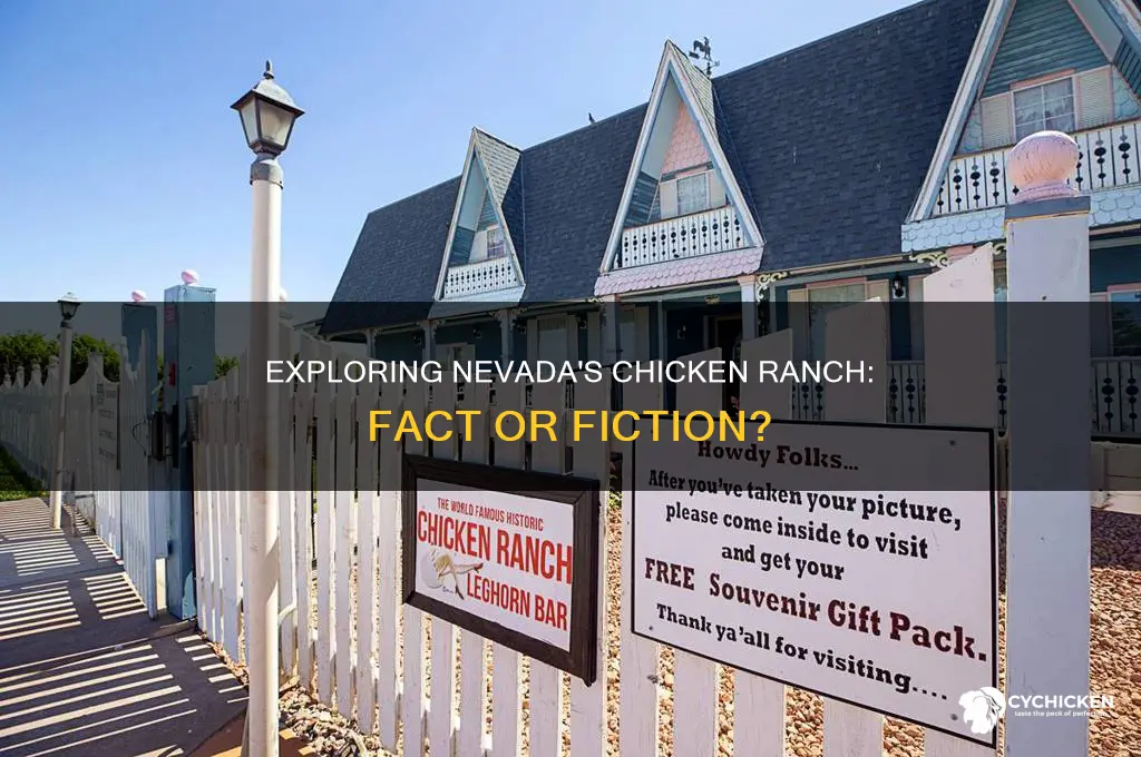 is there a chicken ranch in nevada