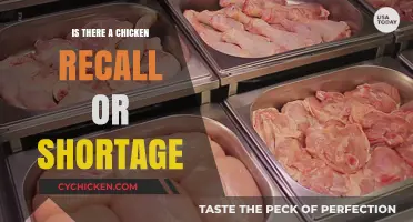 Chicken Recall or Shortage: What's Happening with Poultry Supplies?