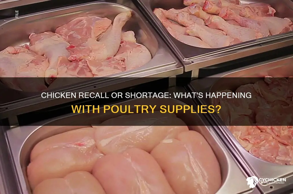 is there a chicken recall or shortage