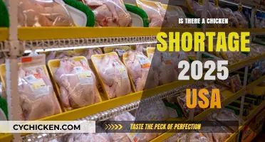 2025 Chicken Shortage in the USA: Fact or Fiction?