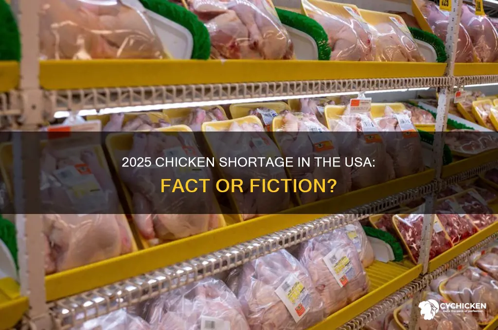 is there a chicken shortage 2025 usa