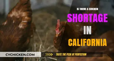 California's Chicken Crisis: Is There a Real Shortage?