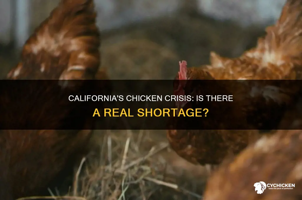 is there a chicken shortage in california
