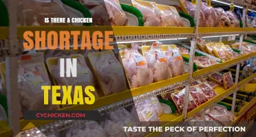 Texas Chicken Shortage: Fact or Fiction? What You Need to Know