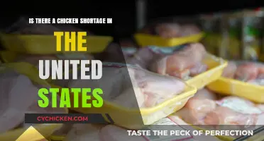 Chicken Shortage: Is the US Facing Supply Issues?
