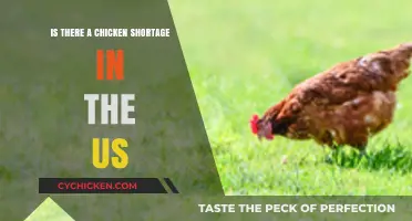 US Chicken Shortage: Fact or Fiction? What Consumers Need to Know