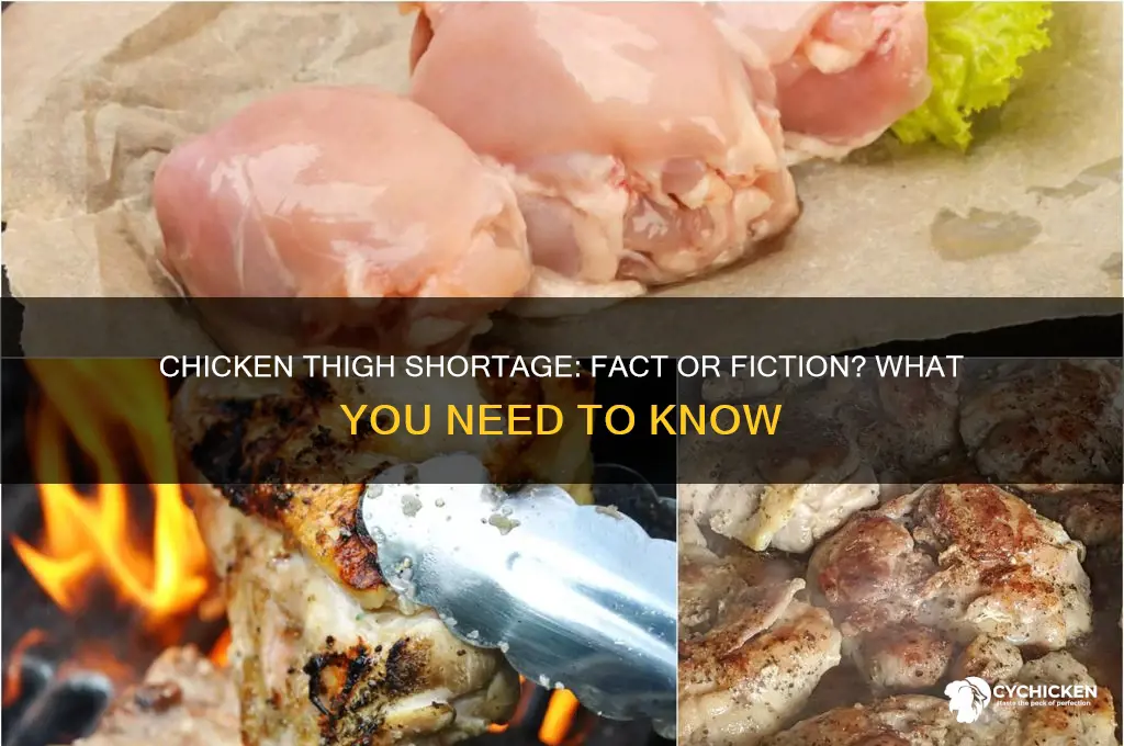 is there a chicken thigh shortage