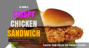 The Ultimate Guide to Finding the Perfect Crispy Chicken Sandwich