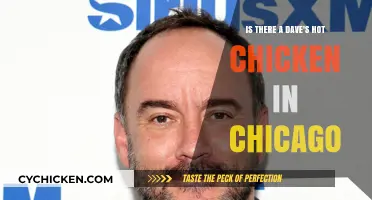 Dave's Hot Chicken: Chicago's Spicy Sensation?