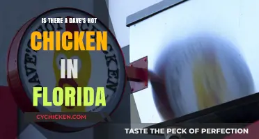 Dave's Hot Chicken: Florida Expansion