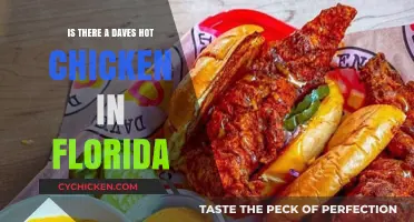 Does Florida Have Dave's Hot Chicken? Locations and Availability