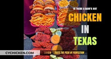 Dave's Hot Chicken: Texas Expansion