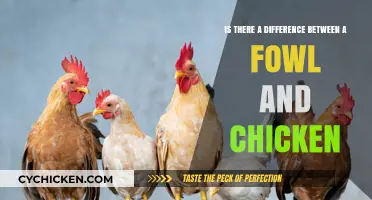 Fowl vs. Chicken: What's the Real Difference?