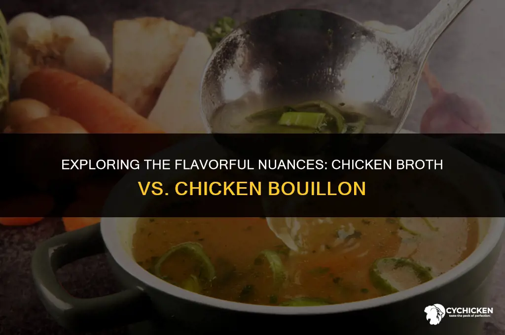 is there a difference between chicken broth and chicken bouillon
