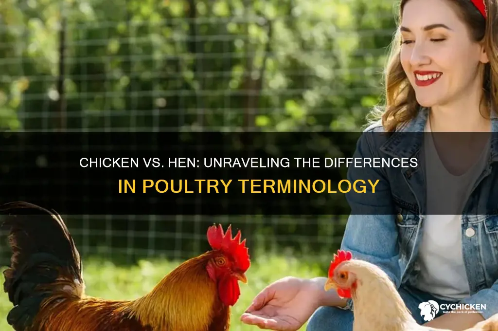 is there a difference in chicken and hen