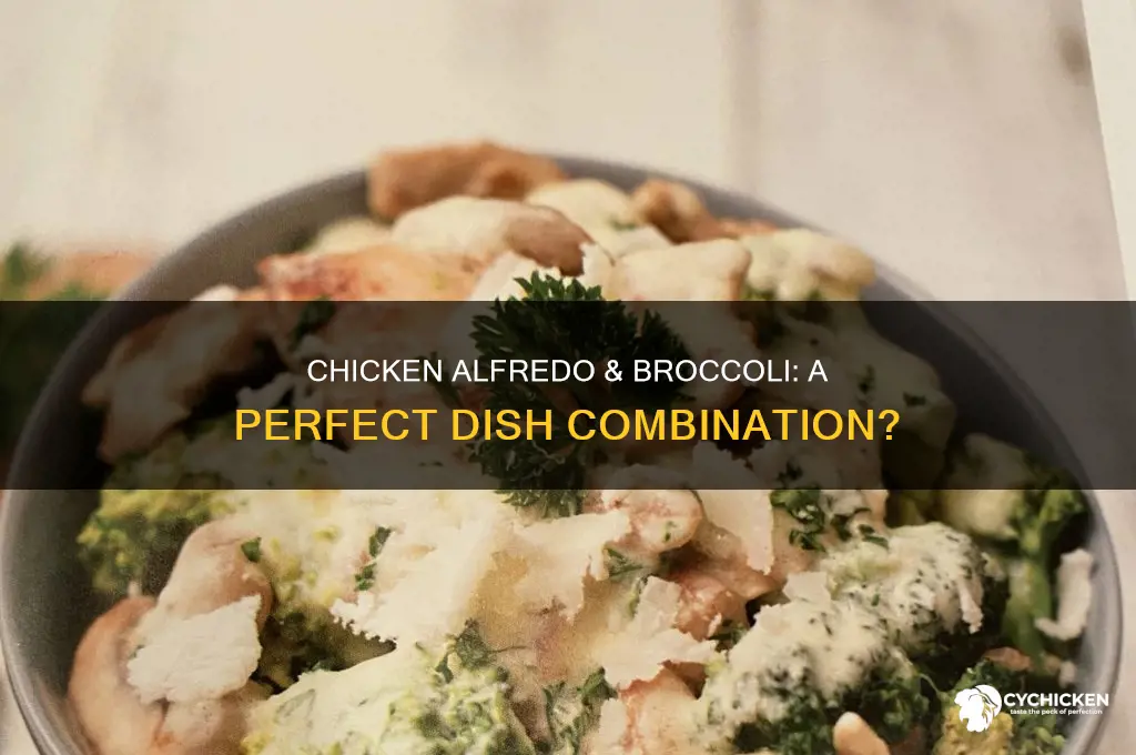 is there a dish with chicken alfredo & broccoli